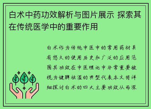 白术中药功效解析与图片展示 探索其在传统医学中的重要作用